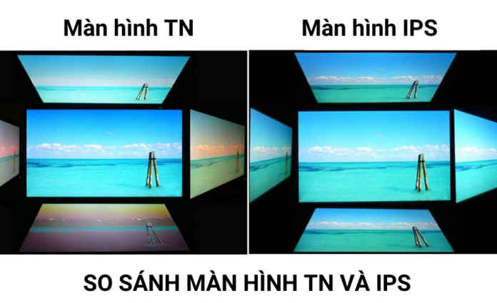 so-sanh-man-hinh-may-tinh-ips-va-tn